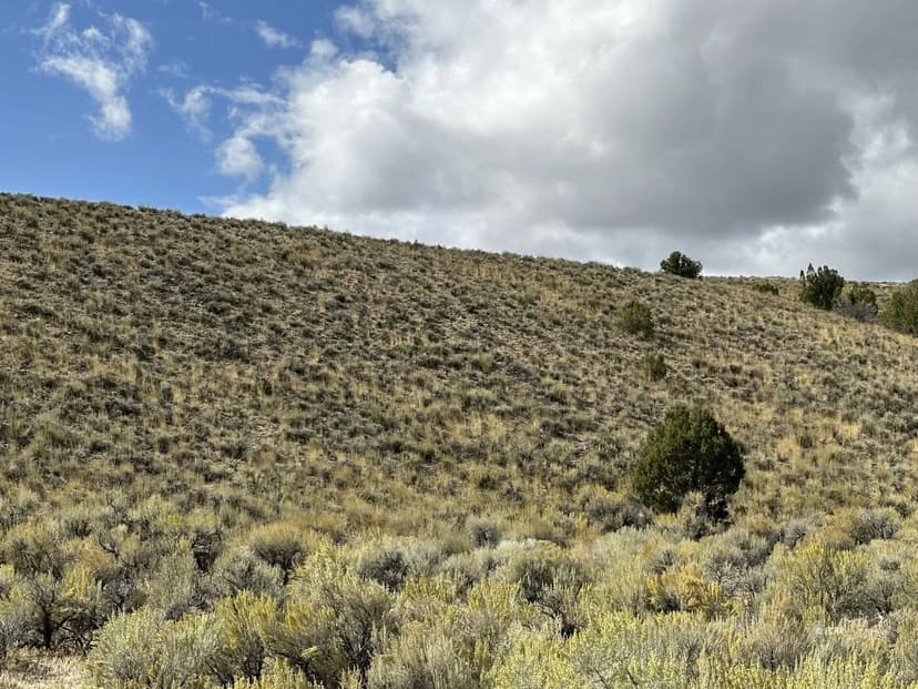 Property from 0 SEC 9 TWP 39N RGE 68E MDB&M NV - KW