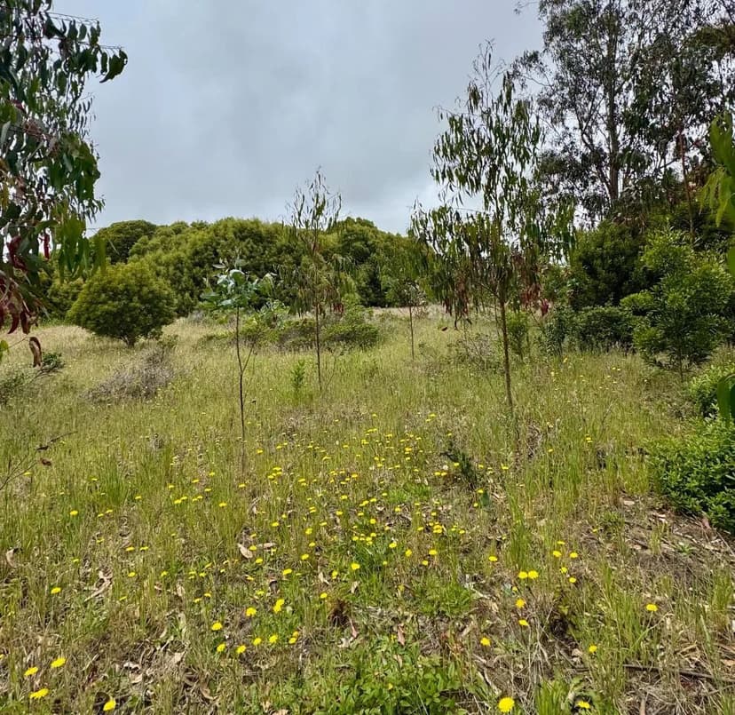 Vacant Land in Half Moon Bay
