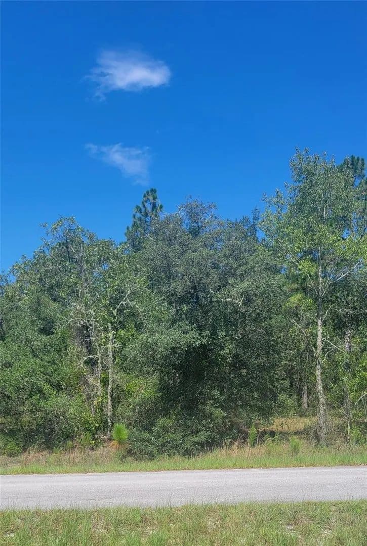 Lots & Land-Other in DUNNELLON - Dunnellon, Florida, 34431