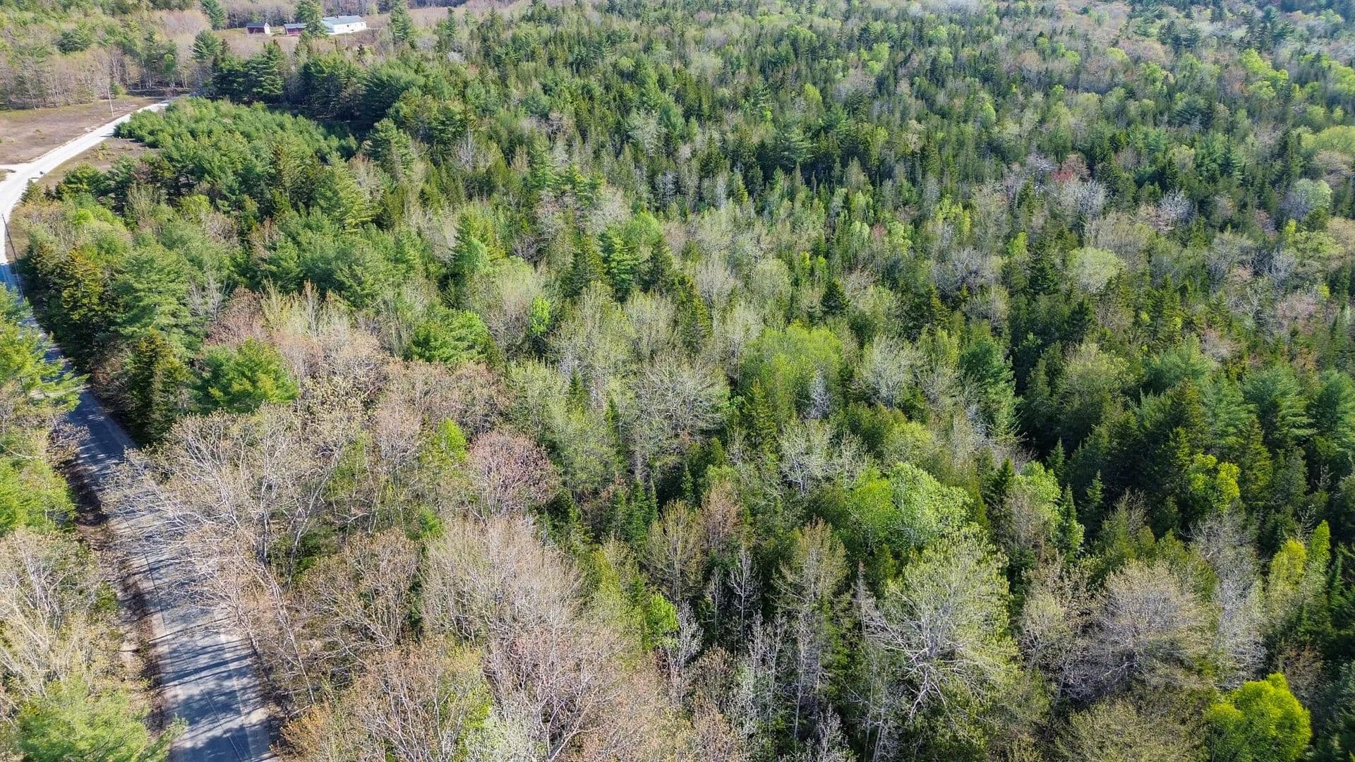 2.9 Acres of Land for Sale in Sullivan, Maine - Sullivan, Maine, 04664
