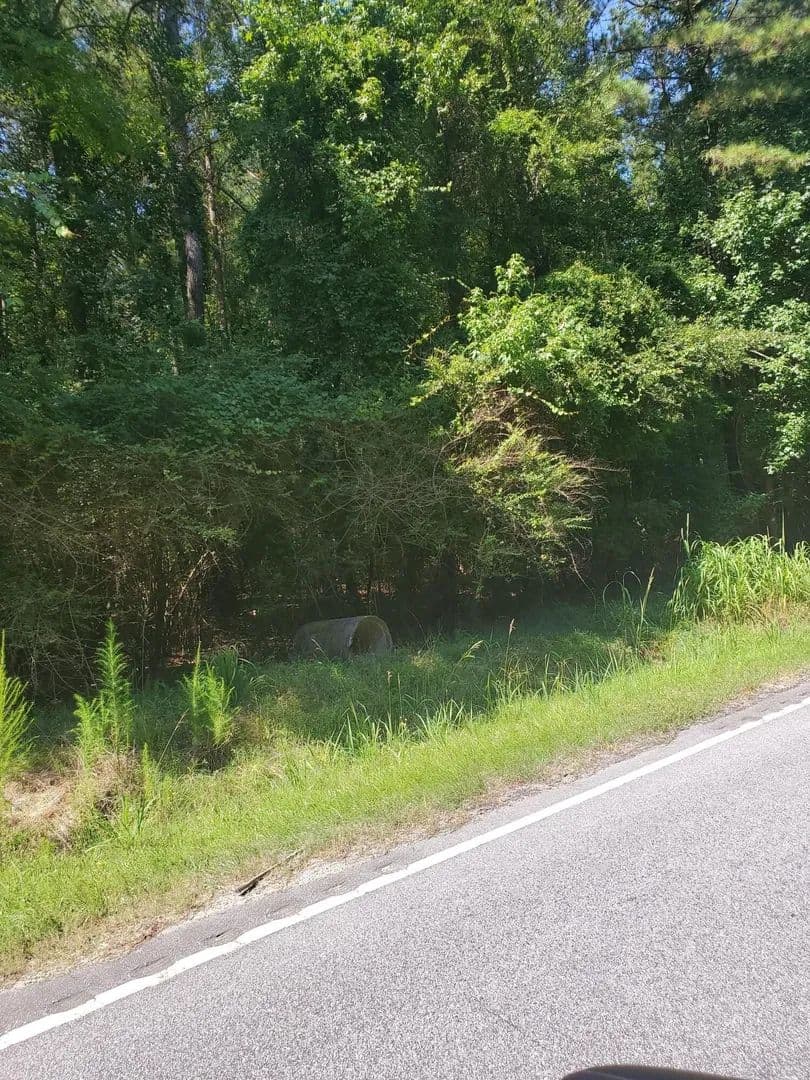 Lots & Land-Other in Sumter