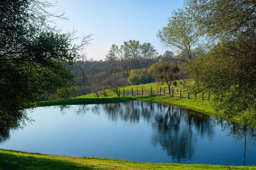 Property from 6550 Jackson Valley Road - KW