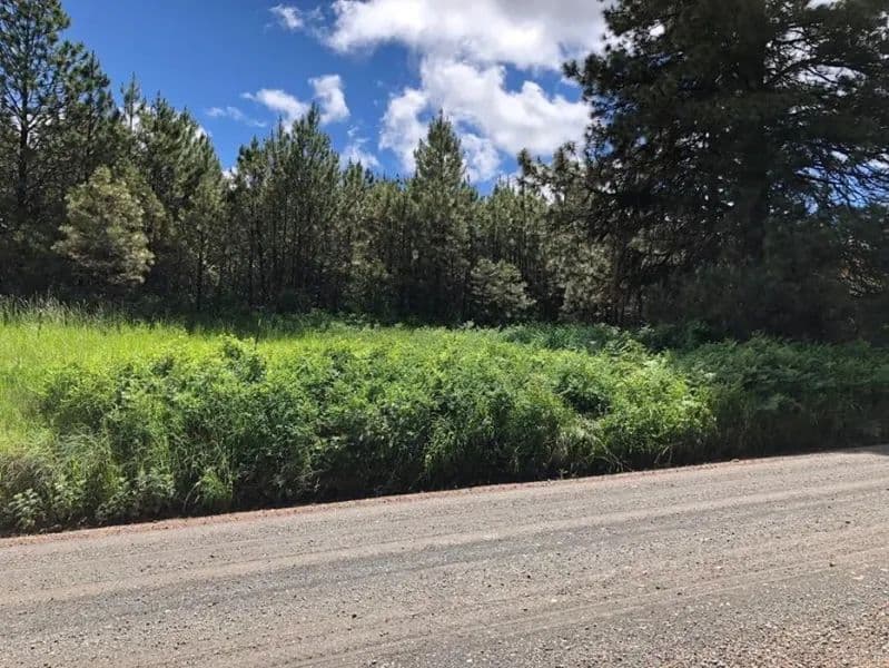 Build Your Dream Home Here!