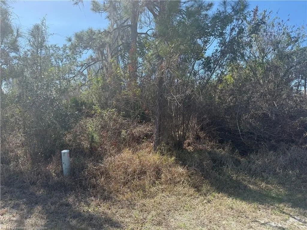 Lots & Land-Other in Lake Placid - Lake Placid, Florida, 33852