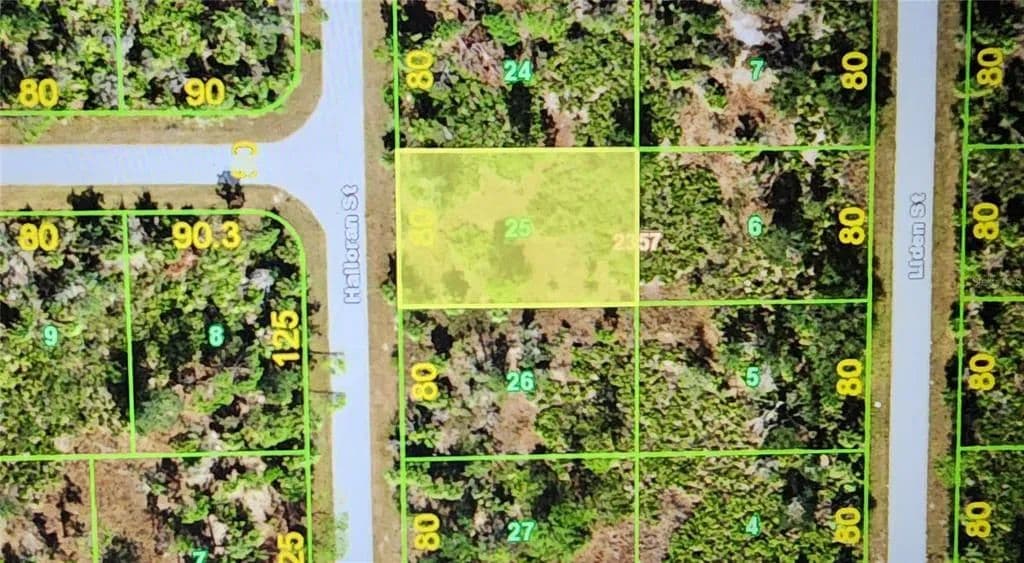 Vacant Land in Port Charlotte - Port Charlotte, Florida, 33953