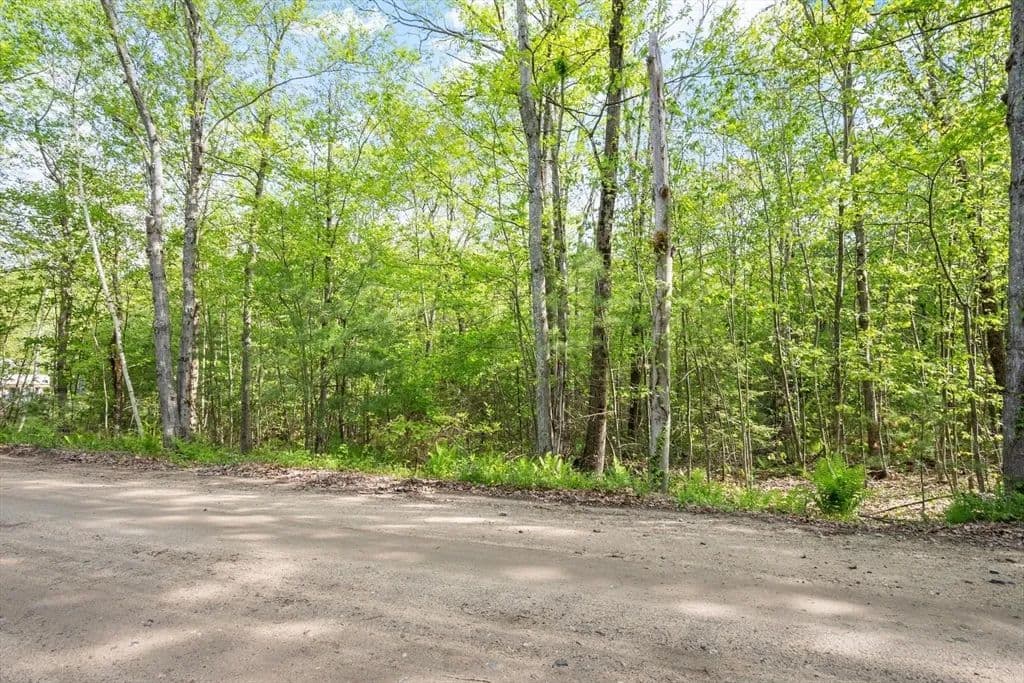 23.92 Acres of Land for Sale in Ashby, MA - Ashby, Massachusetts, 01431