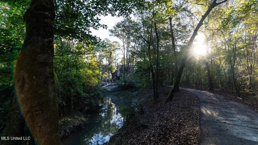 233-Acre Paradise on the Tickfaw River, Osyka, Amite County, MS