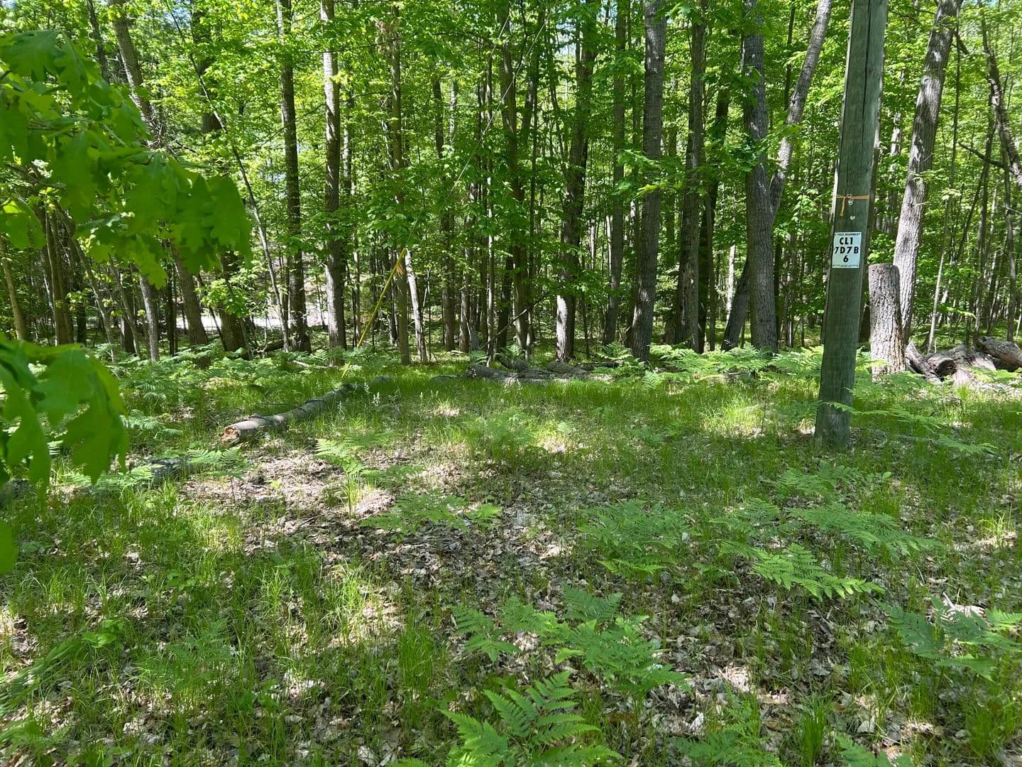 Property from 8297 Highland Trail #349 - KW - Canadian Lakes, Michigan, 49346