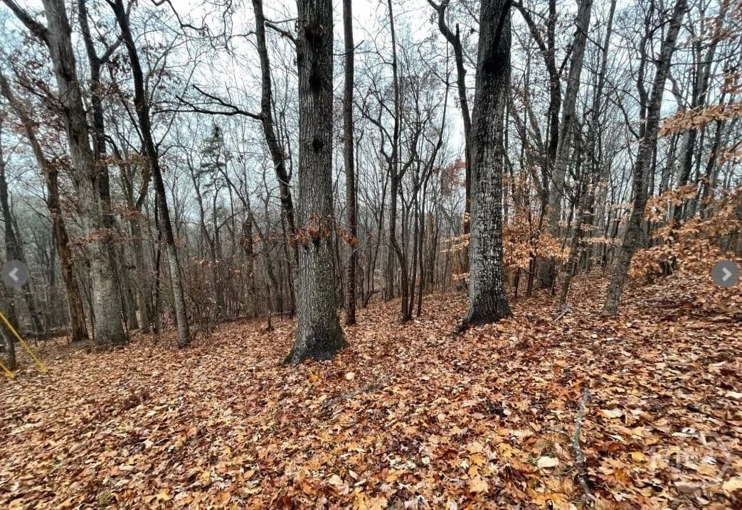 Vacant Land in Westminster - Westminster, South Carolina, 29693