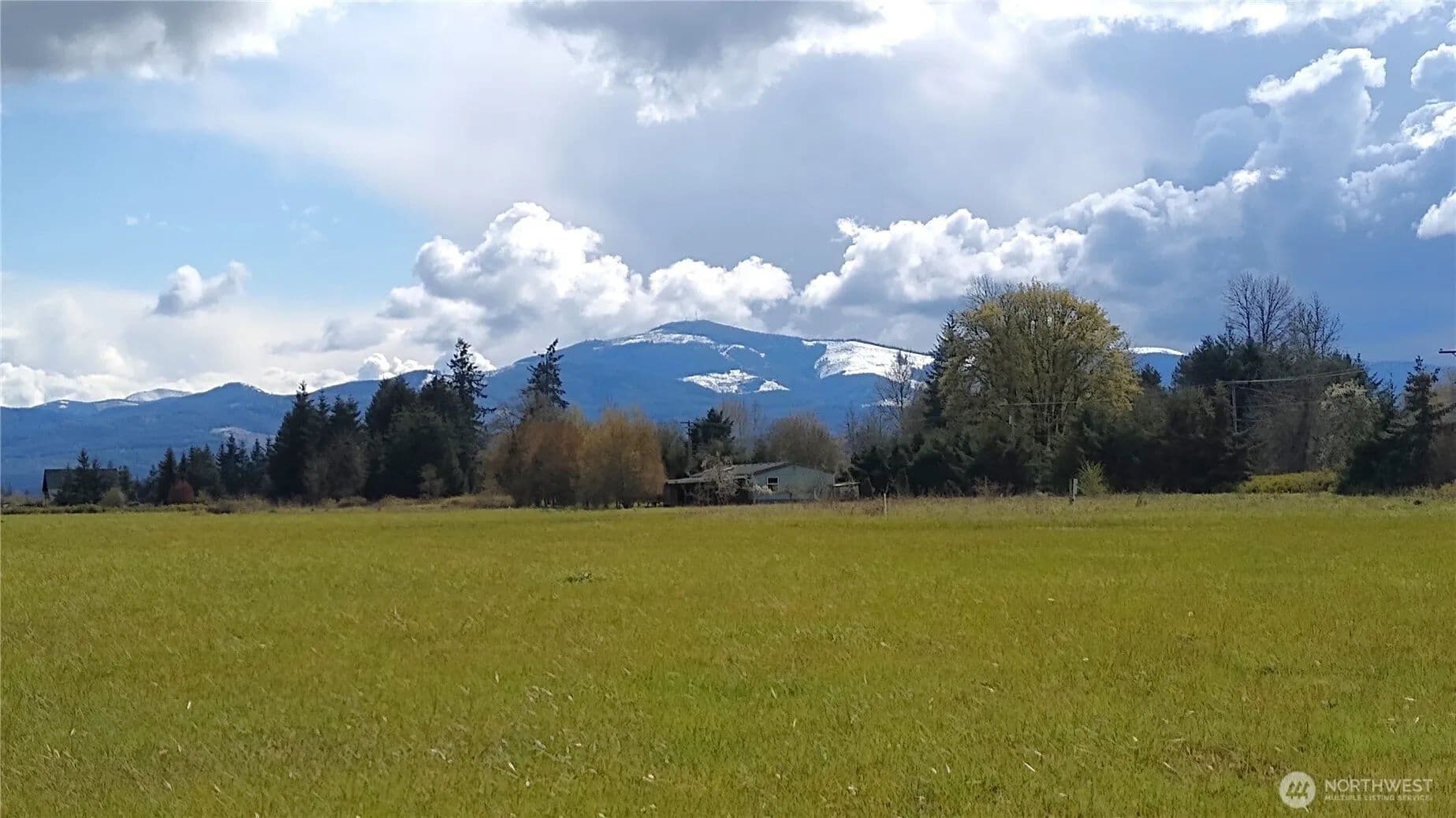 Vacant Land in Curtis - Curtis, Washington, 98538