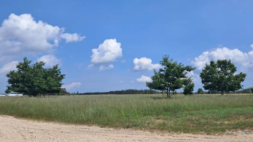 Vacant Land in Cheboygan