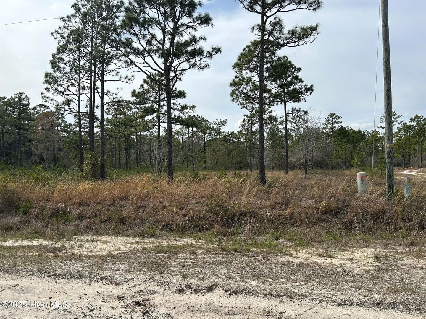 Vacant Land in Boiling Spring Lakes - Boiling Spring Lakes, North Carolina, 28461
