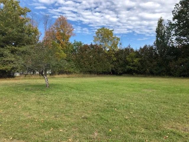 Vacant Land in Harbor Springs - Harbor Springs, Michigan, 49740