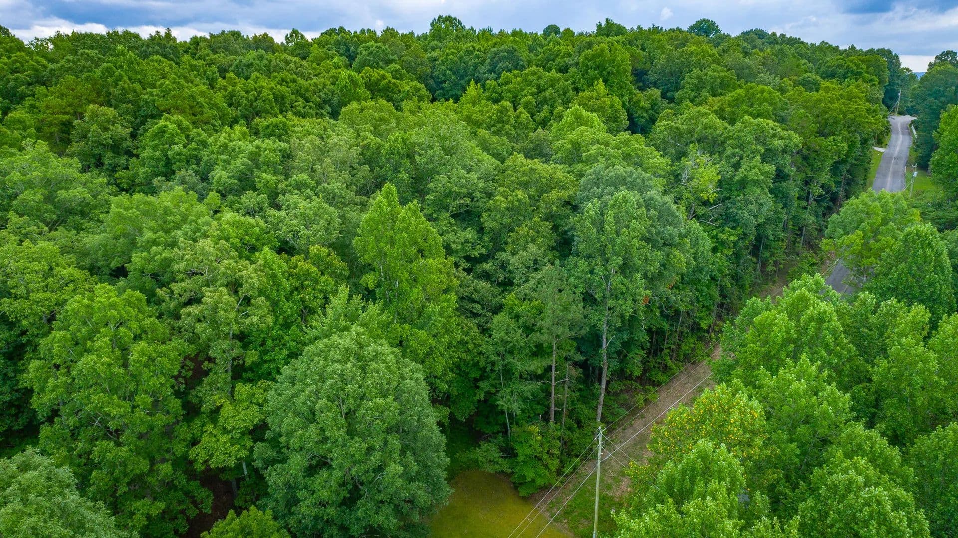 Vacant Land in Whitwell - Whitwell, Tennessee, 37397