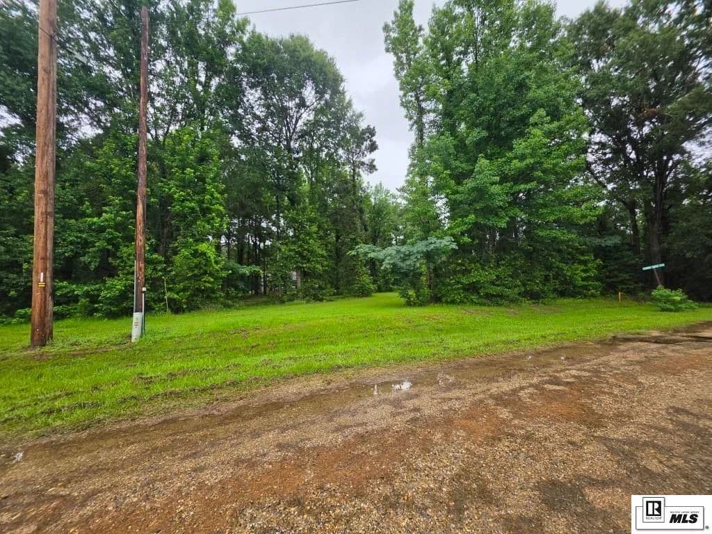 Vacant Land in Farmerville - Farmerville, Louisiana, 71241