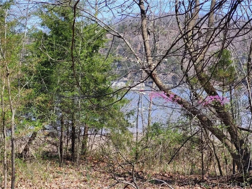 Lots & Land-Other in Edwards - Edwards, Missouri, 65326