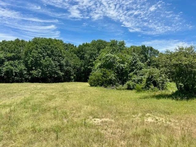 Vacant Land in Mexia
