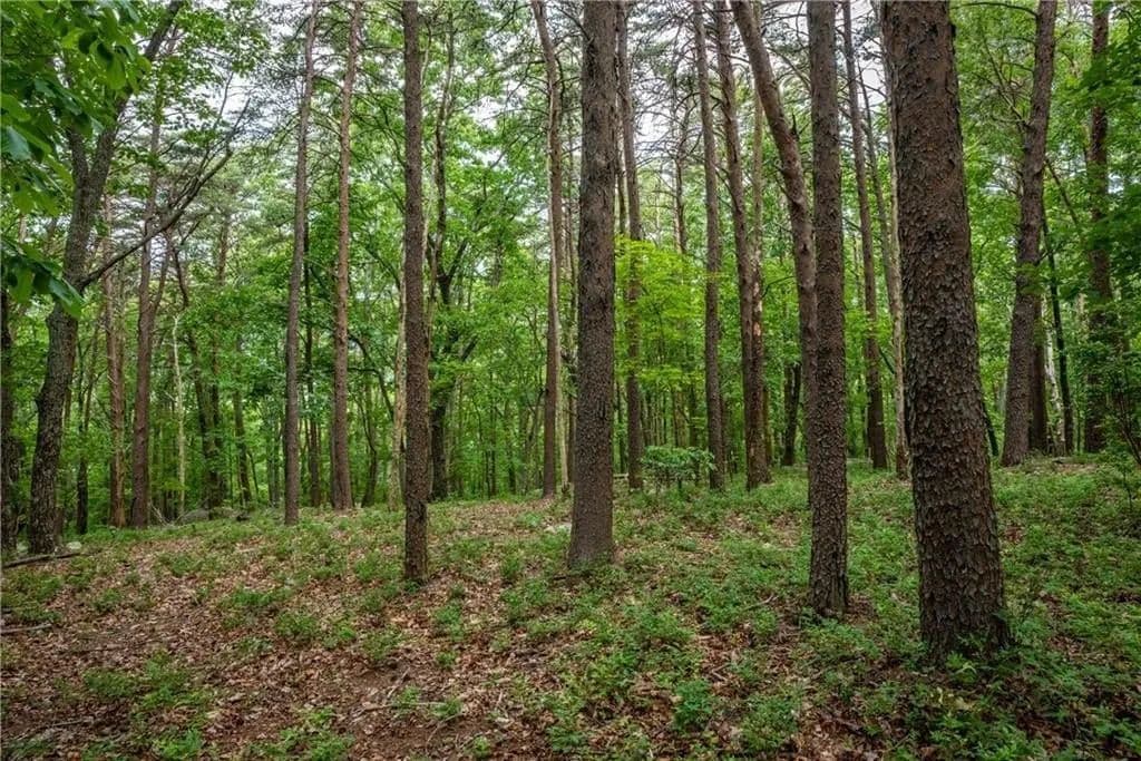 Lots & Land-Other in Jasper - Jasper, Georgia, 30143