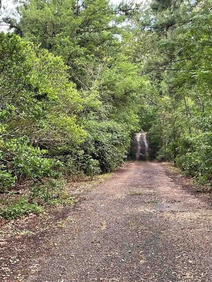 Property from 166 Watson Drive - KW