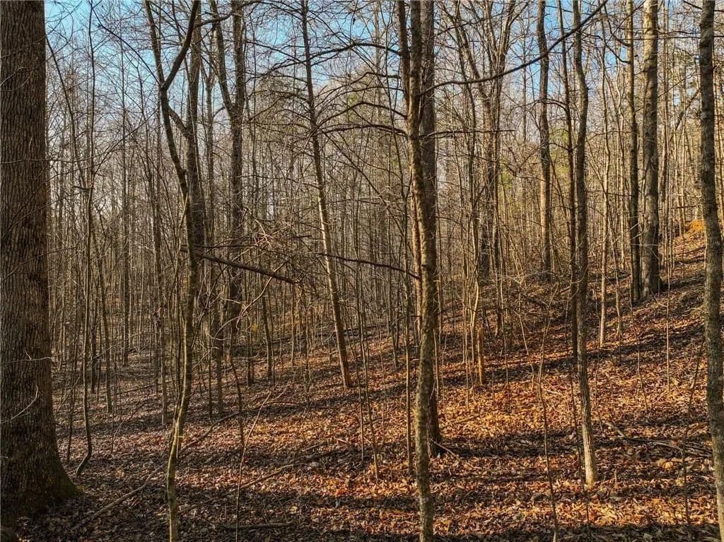 4.62 Acres of Land for Sale in Murrayville, GA - Murrayville, Georgia, 30564
