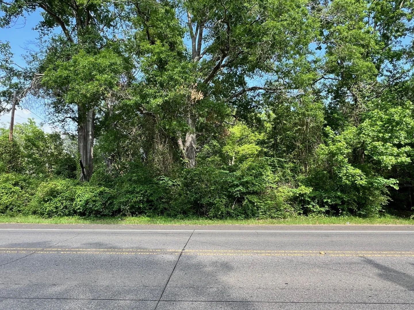 Lots & Land-Other in Zwolle - Zwolle, Louisiana, 71486
