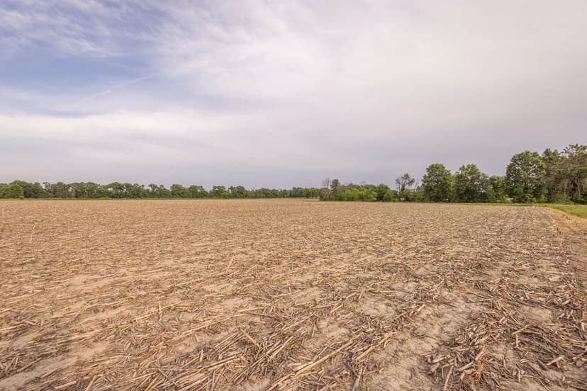 Premier 115±-Acre Hunting & Income Farm with Building Potential – Audrain County
