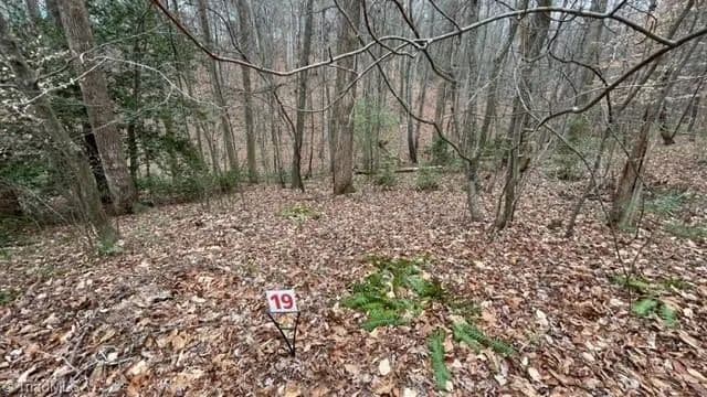 Vacant Land in Stuart - Stuart, Virginia, 24171