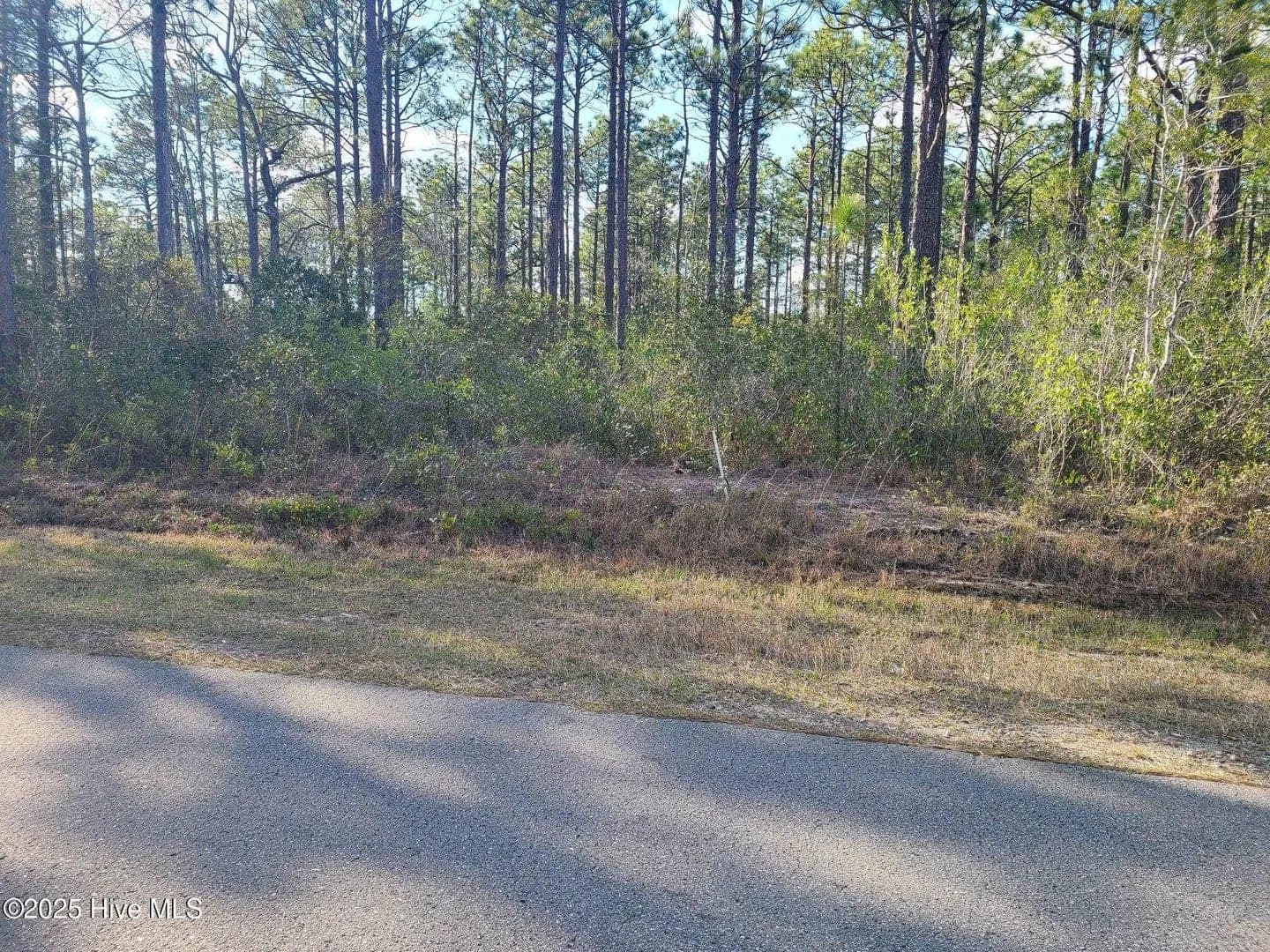 Vacant Land in Boiling Spring Lakes - Boiling Spring Lakes, North Carolina, 28461