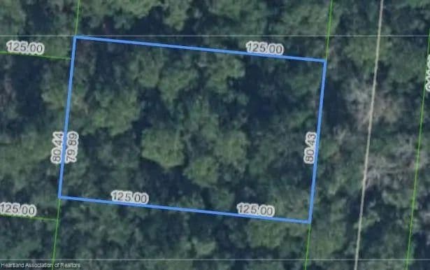 Vacant Land (0-10 Acres) in Sebring