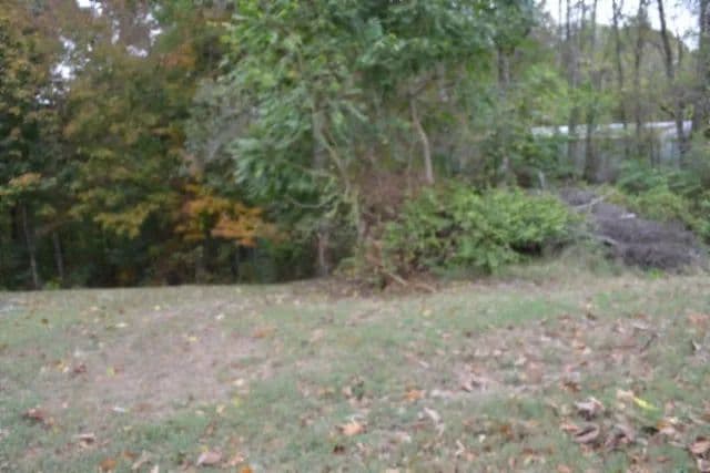 0.75 AC IN A DALE HOLLOW LAKE, TN COMMUNITY WITH NO RESTRICTIONS & WALKING DISTANCE TO DALE HOLLOW LAKE - Celina, Tennessee, 38551