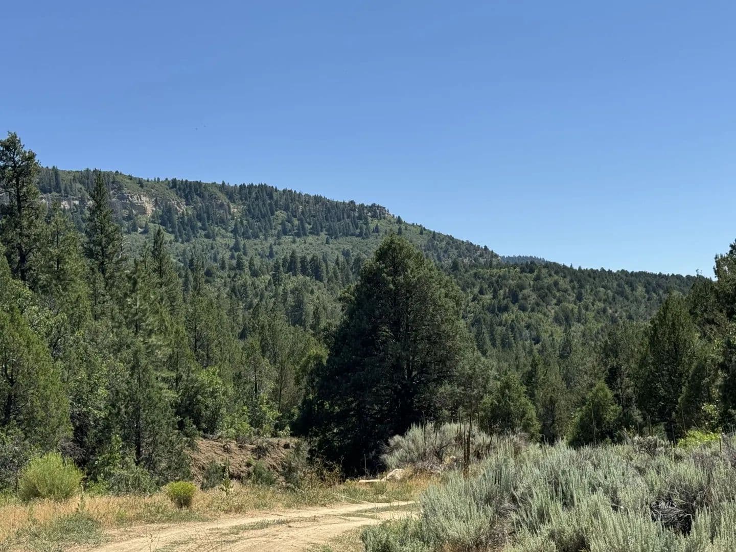 Vacant Land in Orderville - Orderville, Utah, 84758
