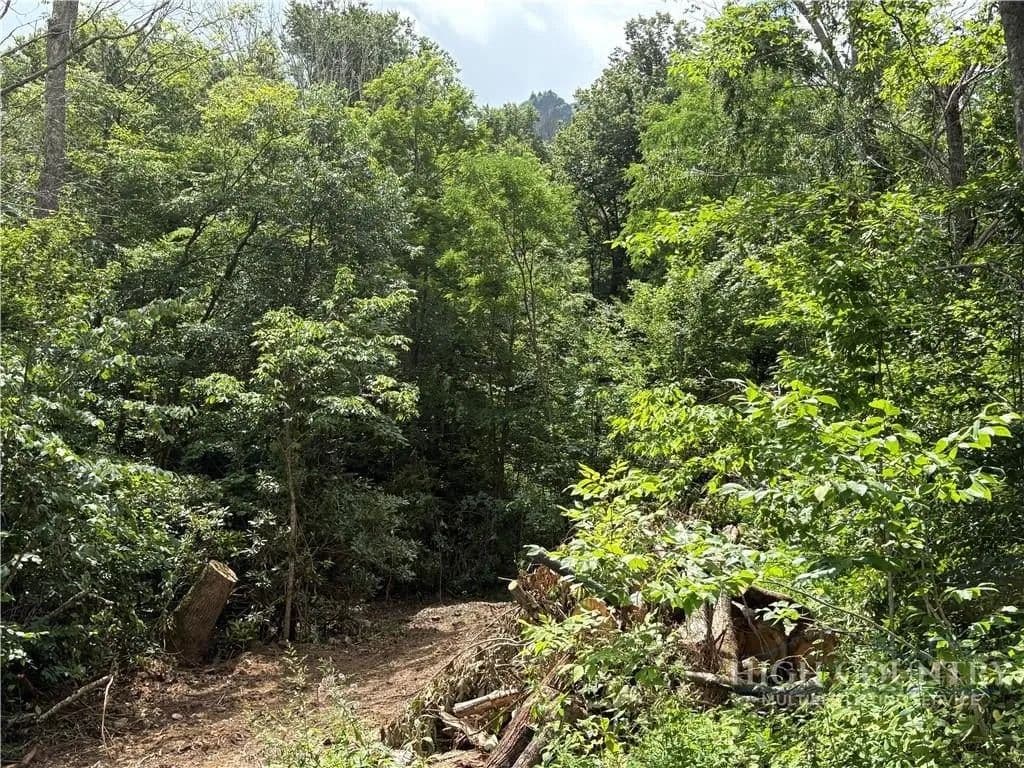 Lots & Land-Other in Banner Elk - Banner Elk, North Carolina, 28604