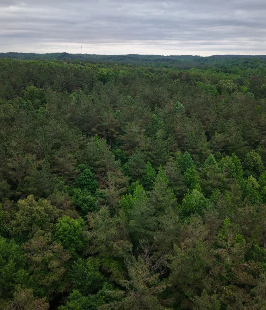 48.7 Acres in Grenada County in Grenada, MS - Grenada, Mississippi, 38901