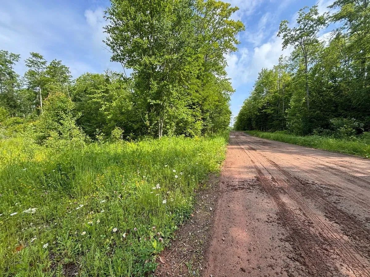 Beartown Road - Baraga, Michigan, 49908