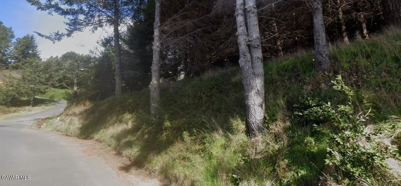 Lots & Land-Other in Whitethorn - Whitethorn, California, 95589