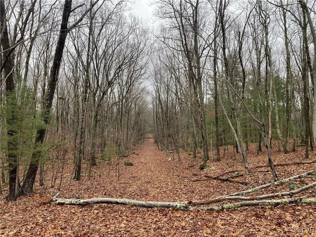 Vacant Land in East Stroudsburg - East Stroudsburg, Pennsylvania, 18302