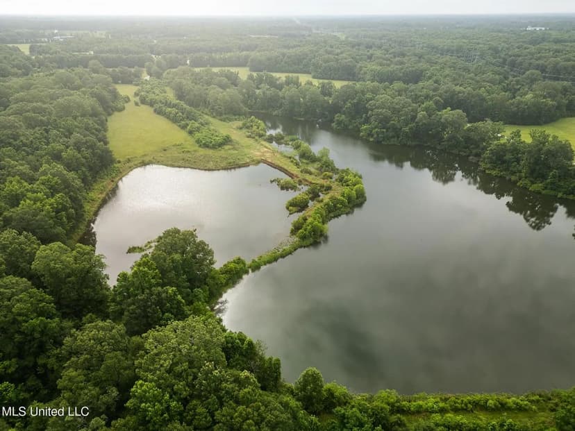 Zachary 78 Acres With Lake in Port Hudson