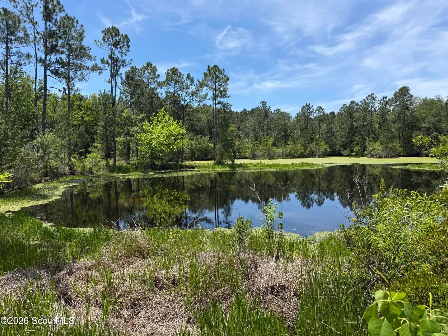Property from 0 (19.95 Ac) Palmetto Drive - KW - Waycross, Georgia, 31501