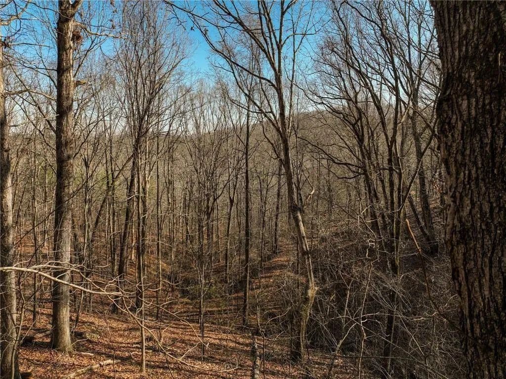 3.13 Acres of Land for Sale in Murrayville, GA - Murrayville, Georgia, 30564