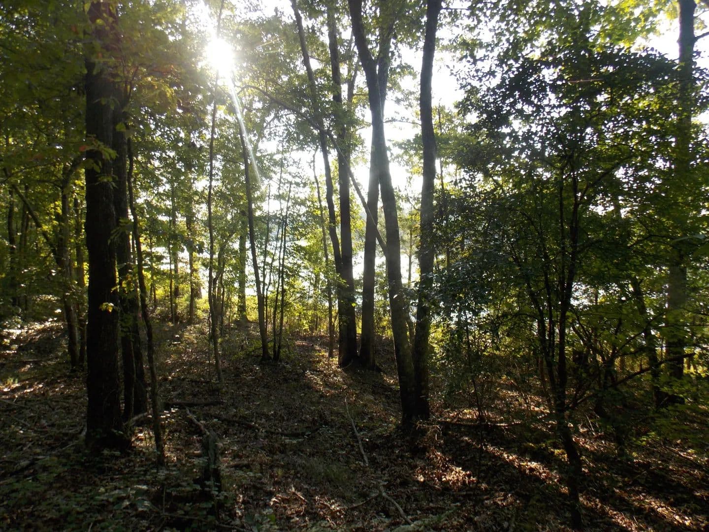 Lots & Land-Other in Lincolnton - Lincolnton, Georgia, 30817