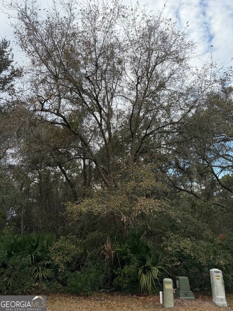 Lots & Land-Other in St. Marys - Georgia, 31558
