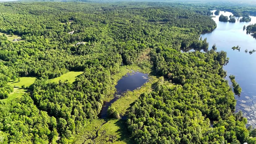Vacant Land in Palermo
