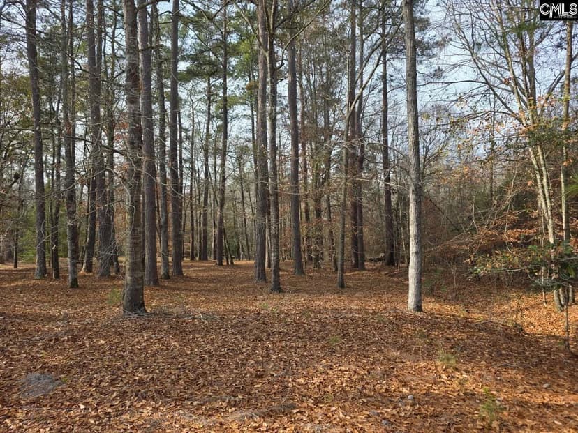 Vacant Land in Orangeburg