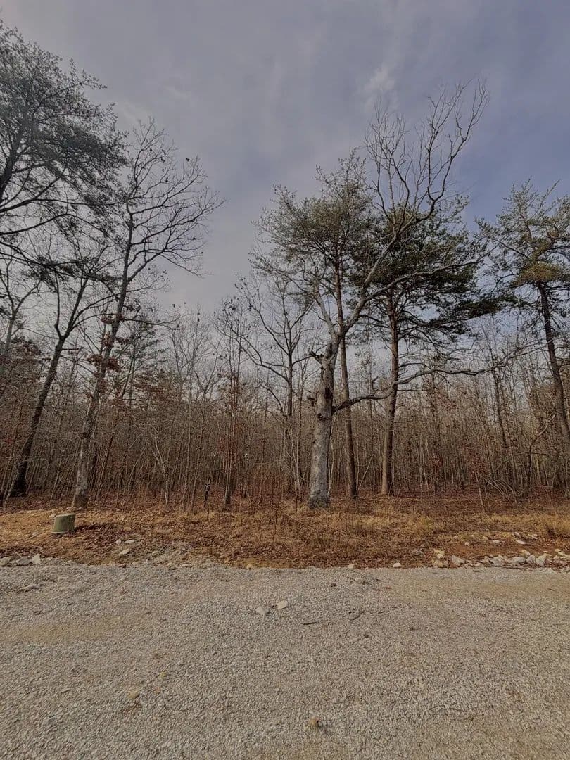 Vacant Land in Monteagle - Monteagle, Tennessee, 37356
