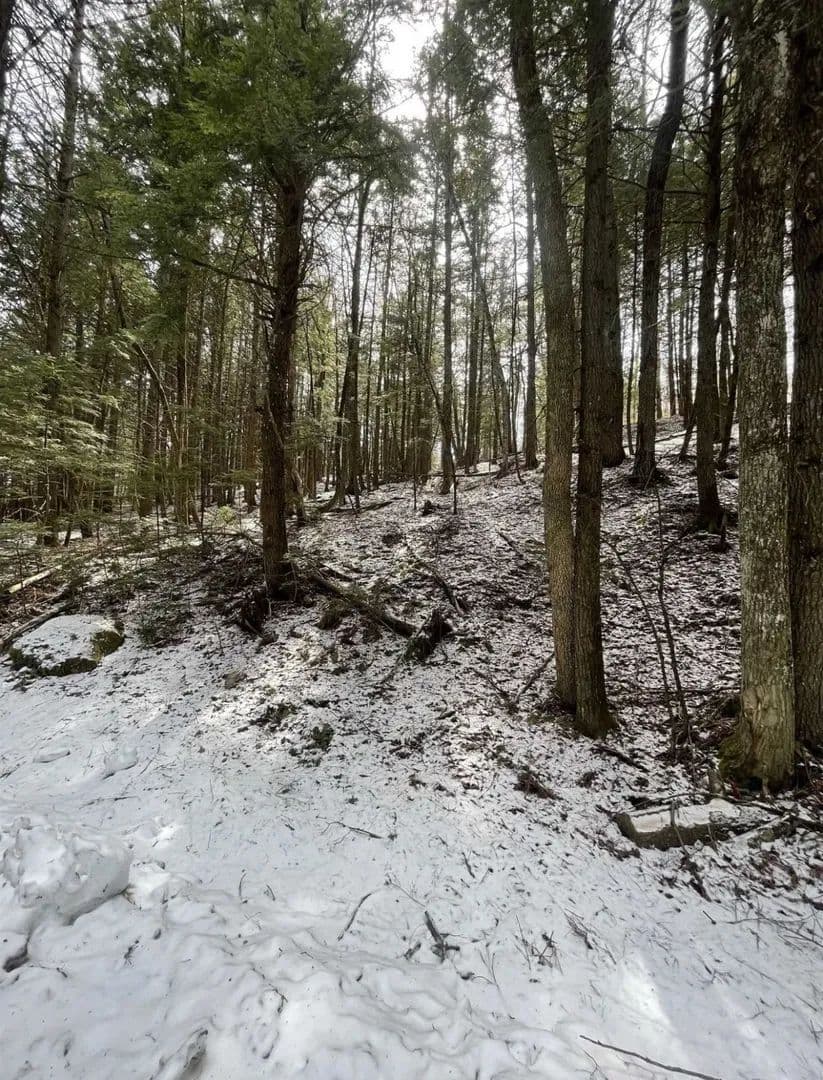 Vacant Land in Grafton - Grafton, Vermont, 05146