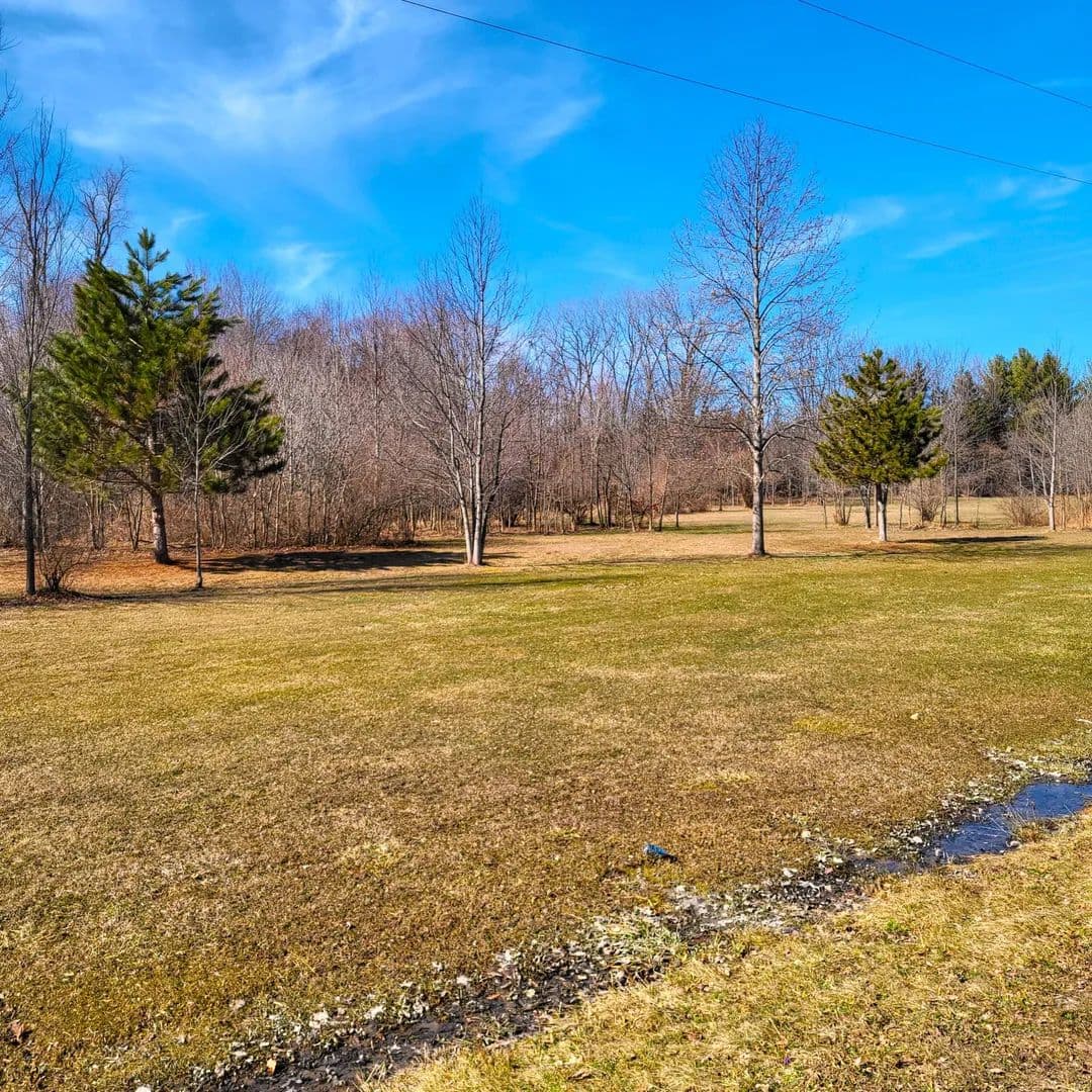 Vacant Land in New Buffalo - New Buffalo, Michigan, 49117