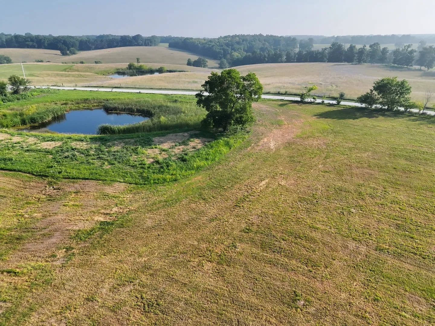 20 Surveyed Acres with Pond and Potential Build Sites – Clark County - Silex, Missouri, 63377