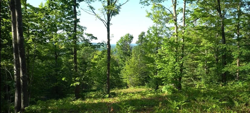 Vacant Land in Bayfield