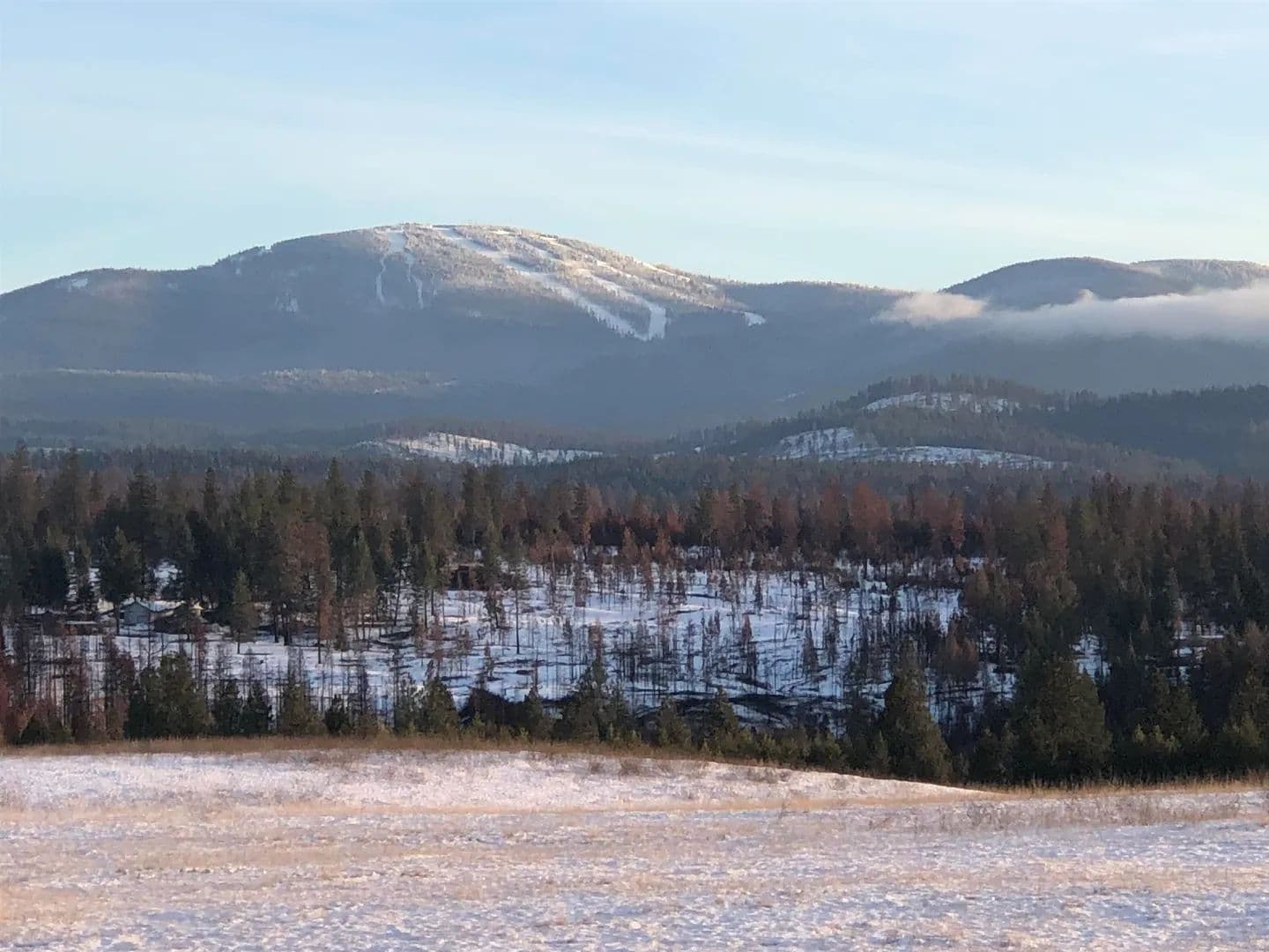 Vacant Land in Elk - Elk, Washington, 99009