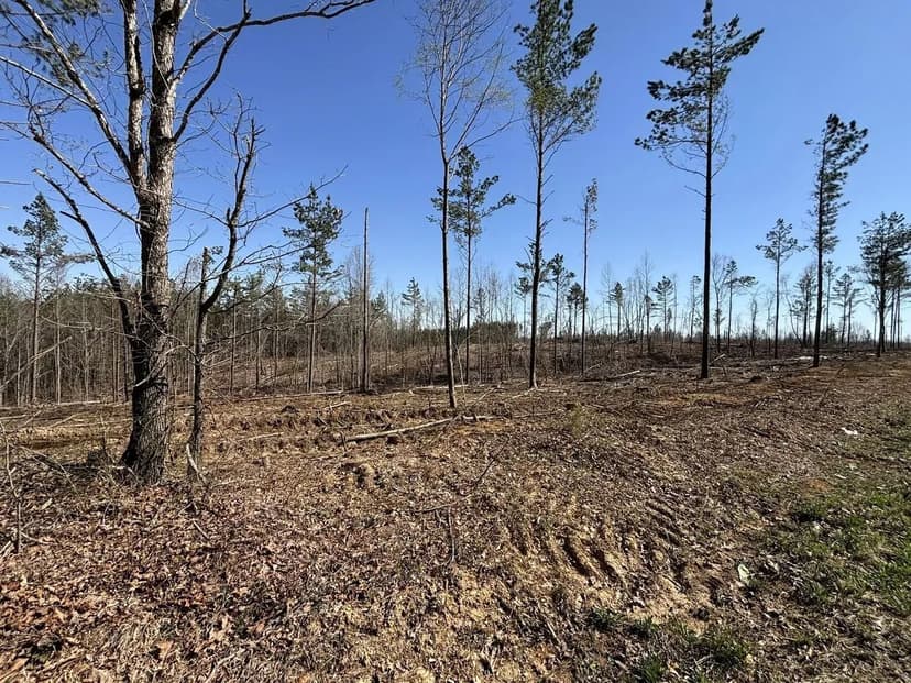 Second Creek Road Tract 1